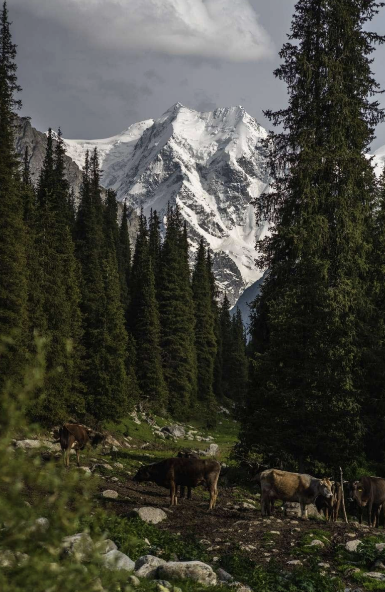 Фото кемпа 1